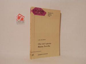Che cos'è questa Buona Novella. Saggio sul Vangelo - Jean-Marie Paupert - copertina