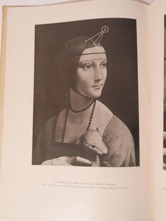 La Dame a l'Hermine de Leonardo Da Vinci - 2