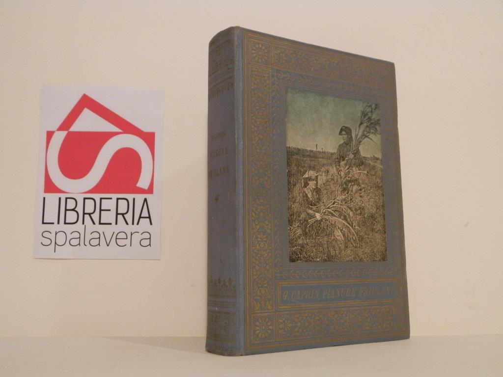 Libreria Spalavera