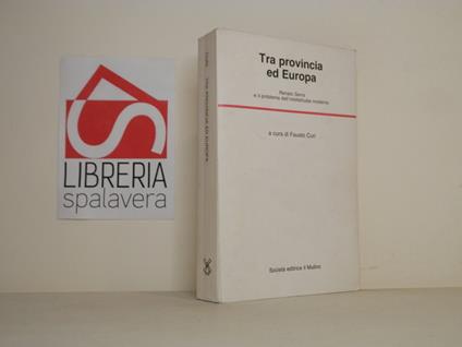 Tra provincia ed Europa - Fausto Curi - copertina