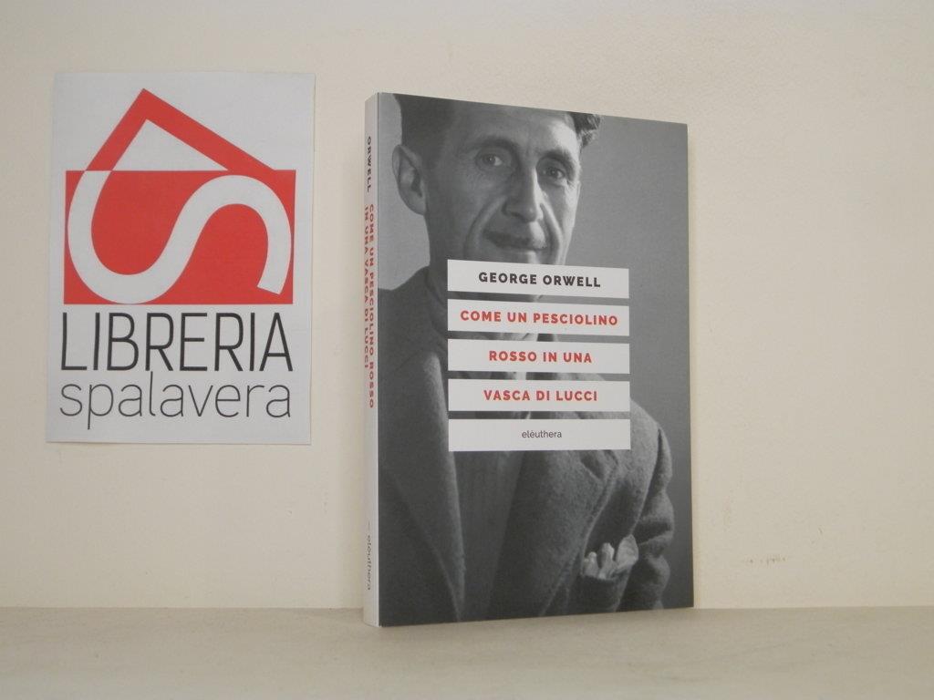 Libreria Spalavera