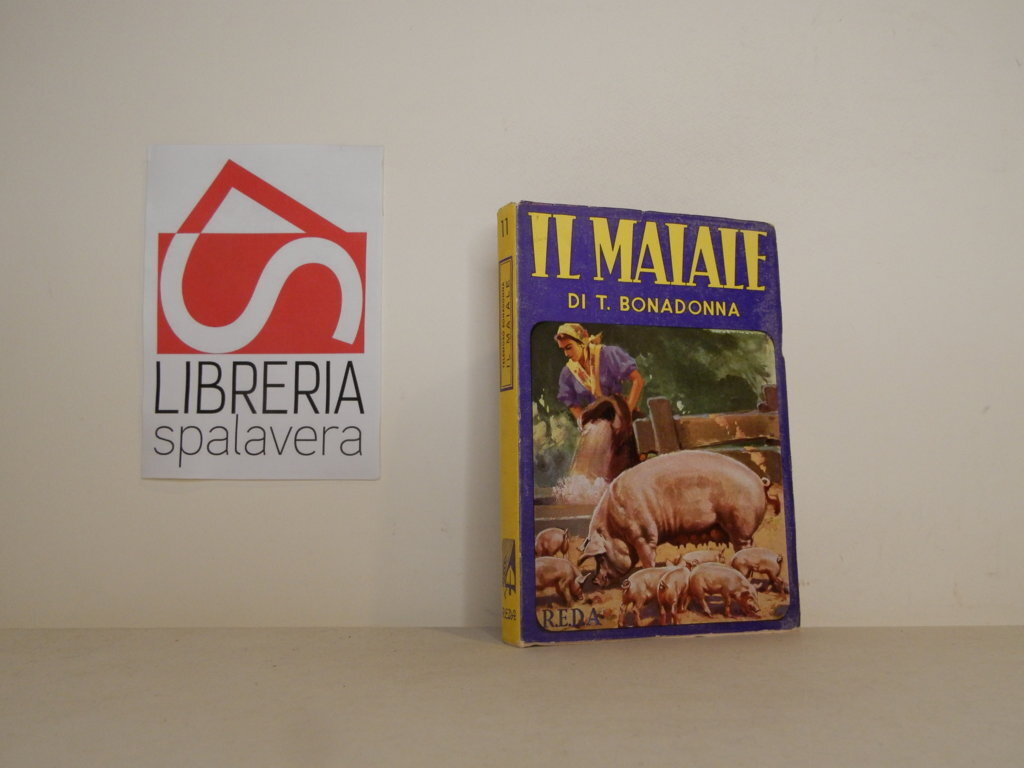 Libreria Spalavera