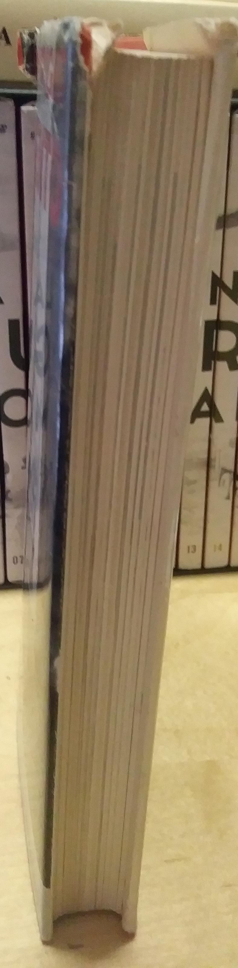 Testamento frank lloyd wright einaudi