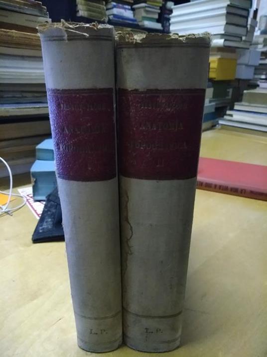 Testut jacob trattato di anatomia topografica 1946 - Jacob Testut - copertina