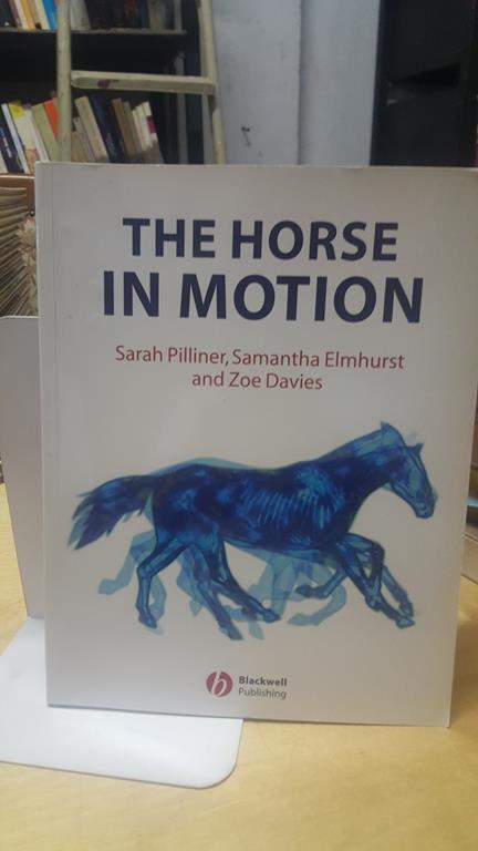 The Horse in motion sarah pilliner samantha elmhurst zoe davies - copertina