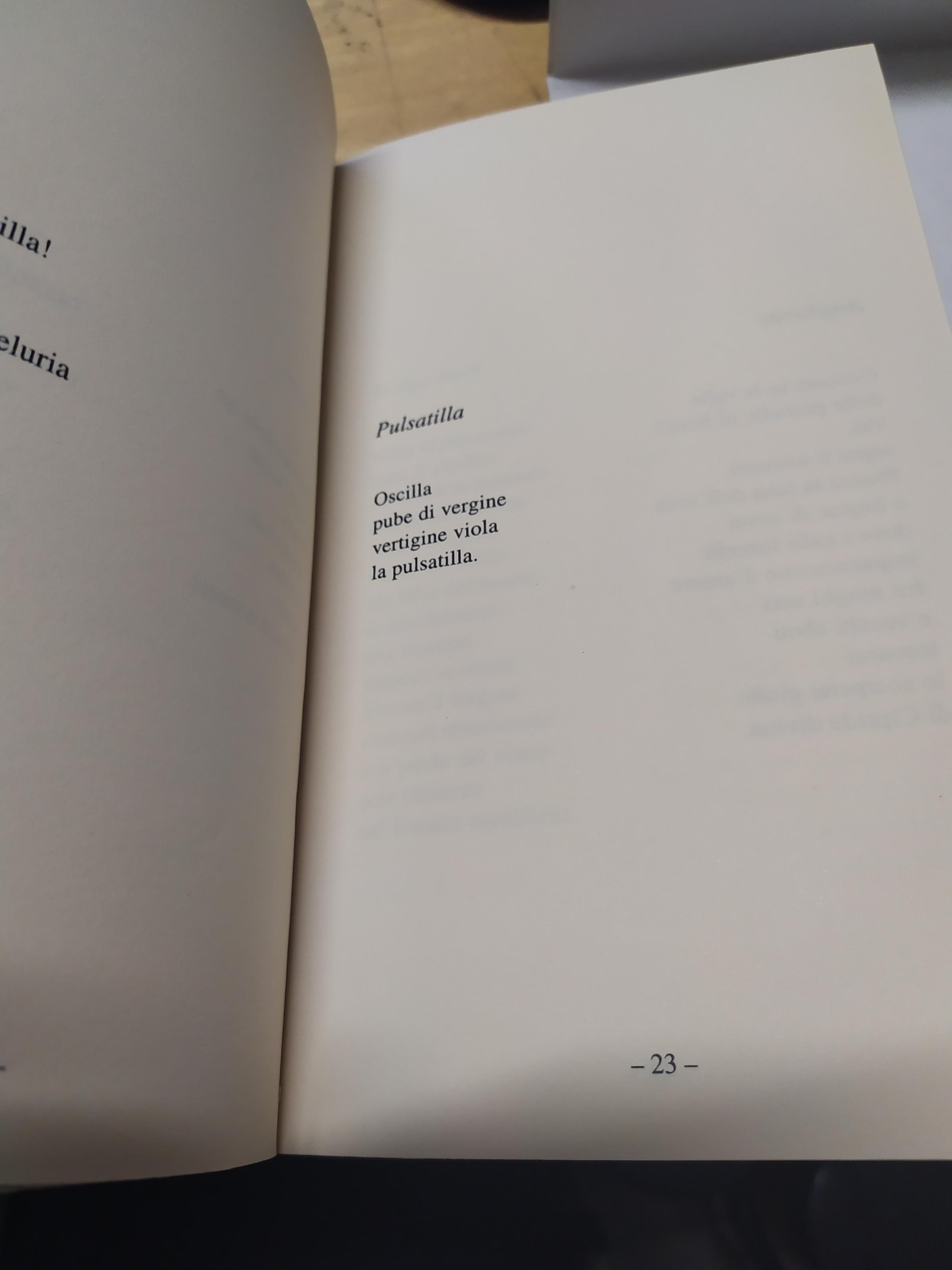 giorgio tosi uabaia freccia poesie versi e no prefazione di antonia arslan