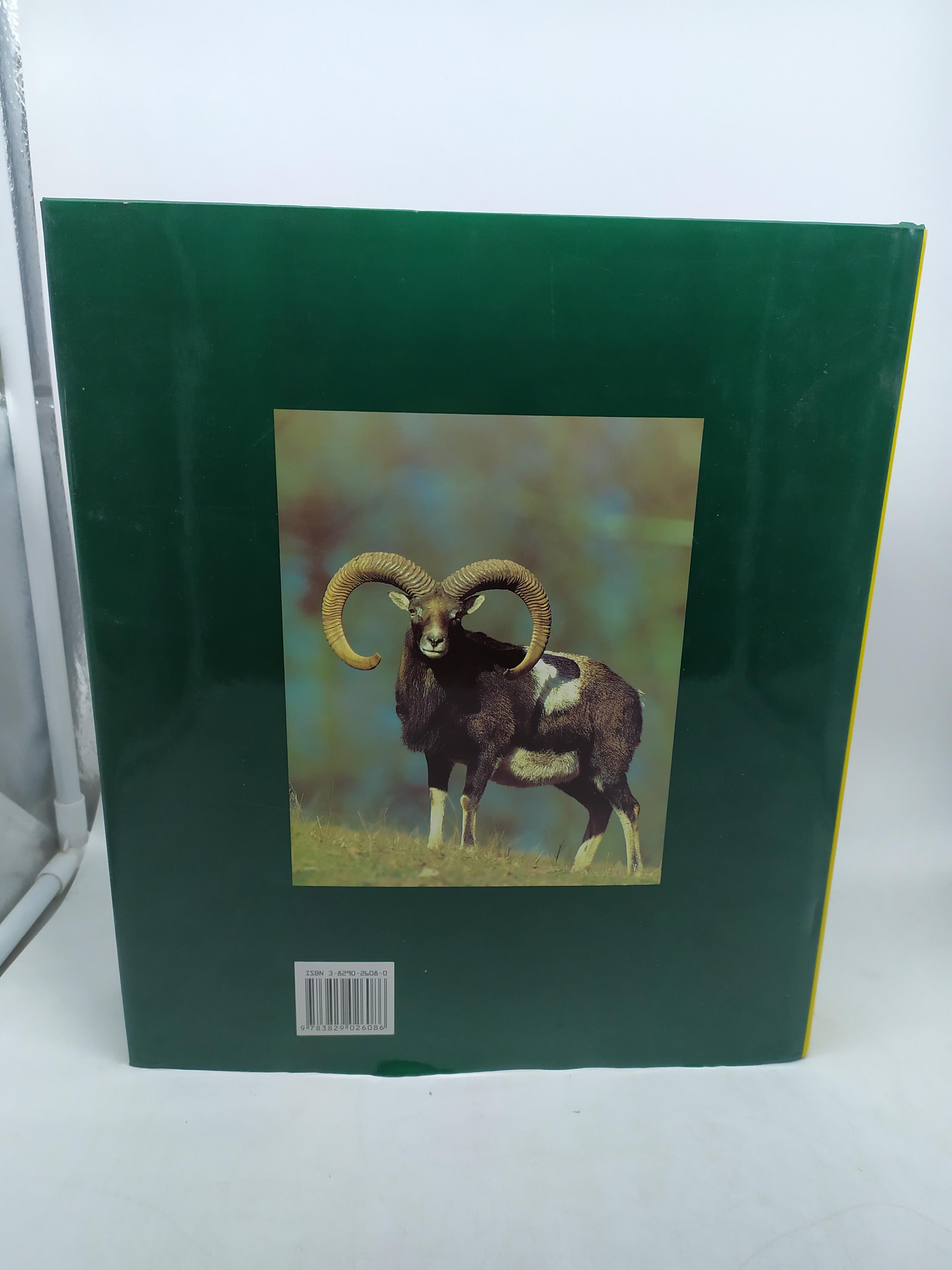 La caccia kurt g.bluchel