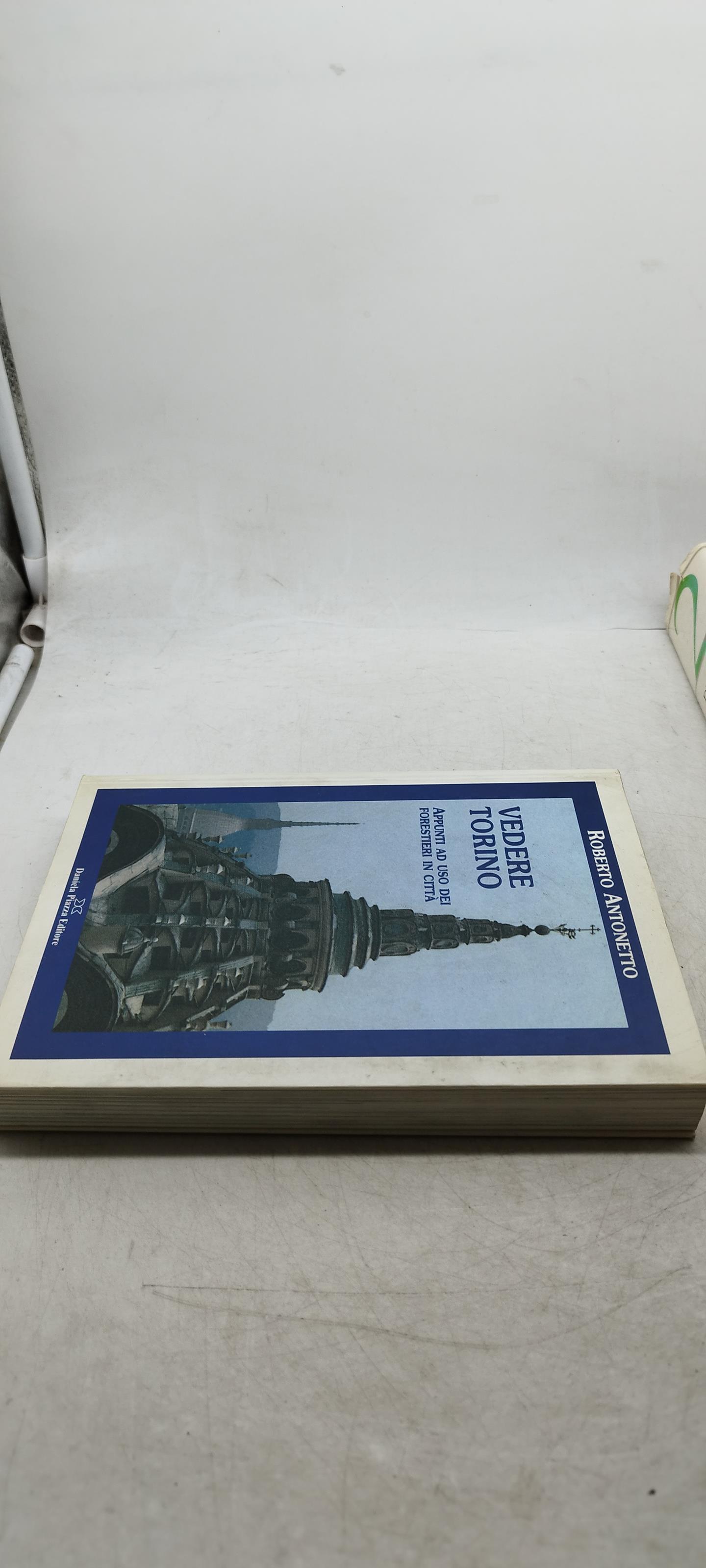 roberto antonetto vedere torino appunti ad uso dei forestieri in città