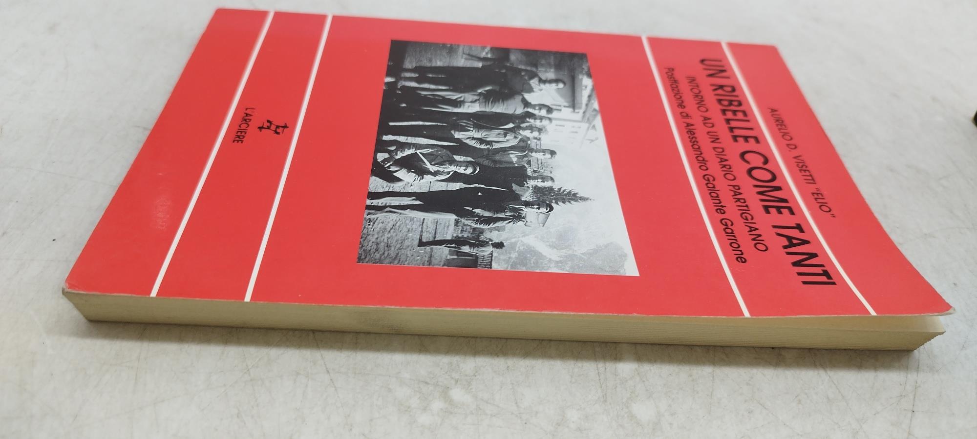 un ribelle come tanti intorno ad un diario partigiano postfazione di alessandro galante garrone