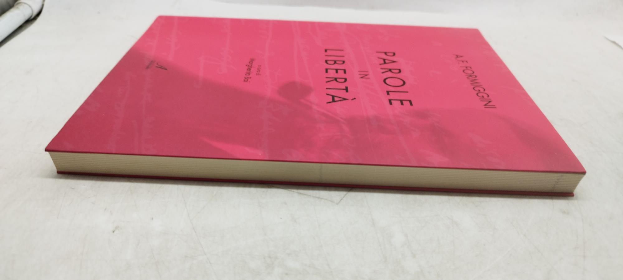 parole in libertà margherita bai artestampa