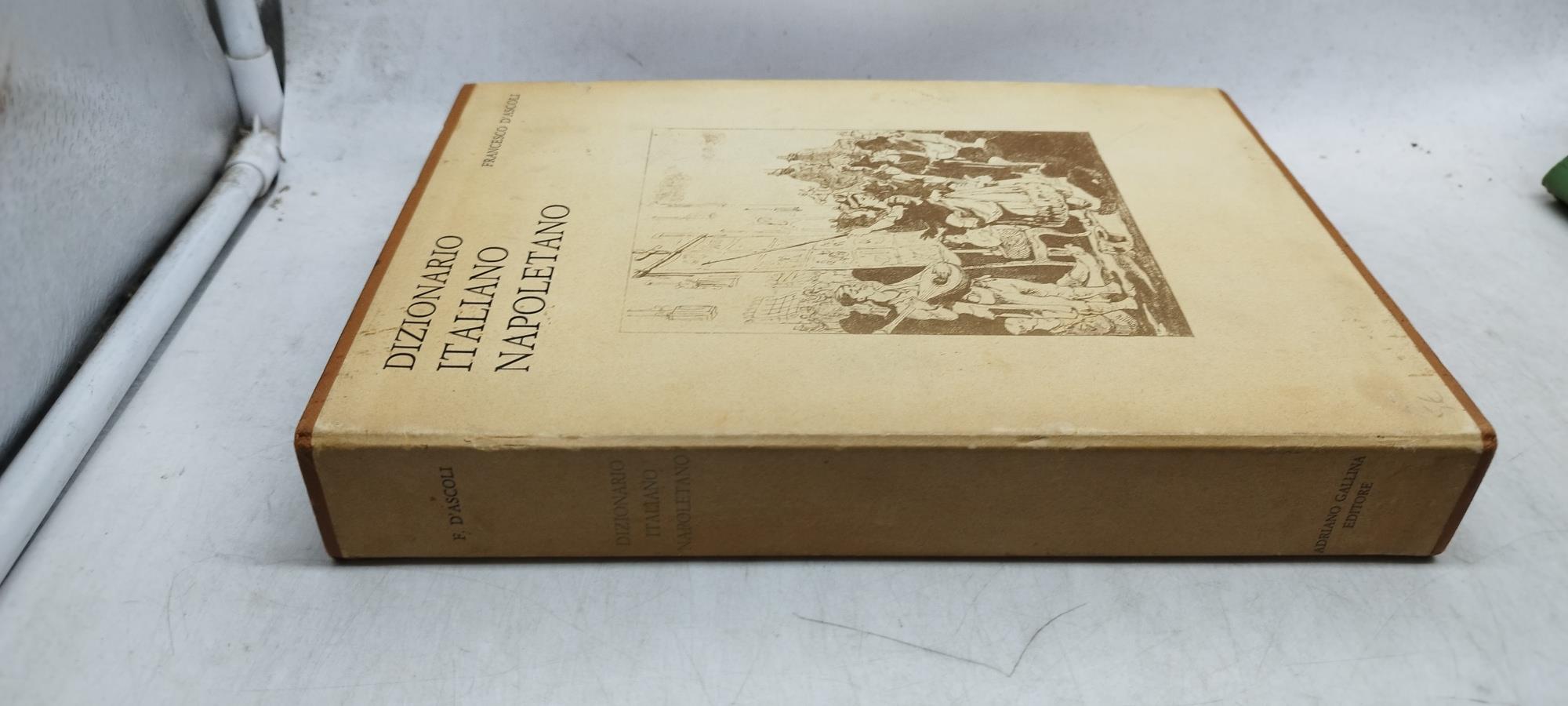 dizionario italiano napoletano