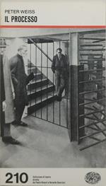 il processo peter weiss einaudi