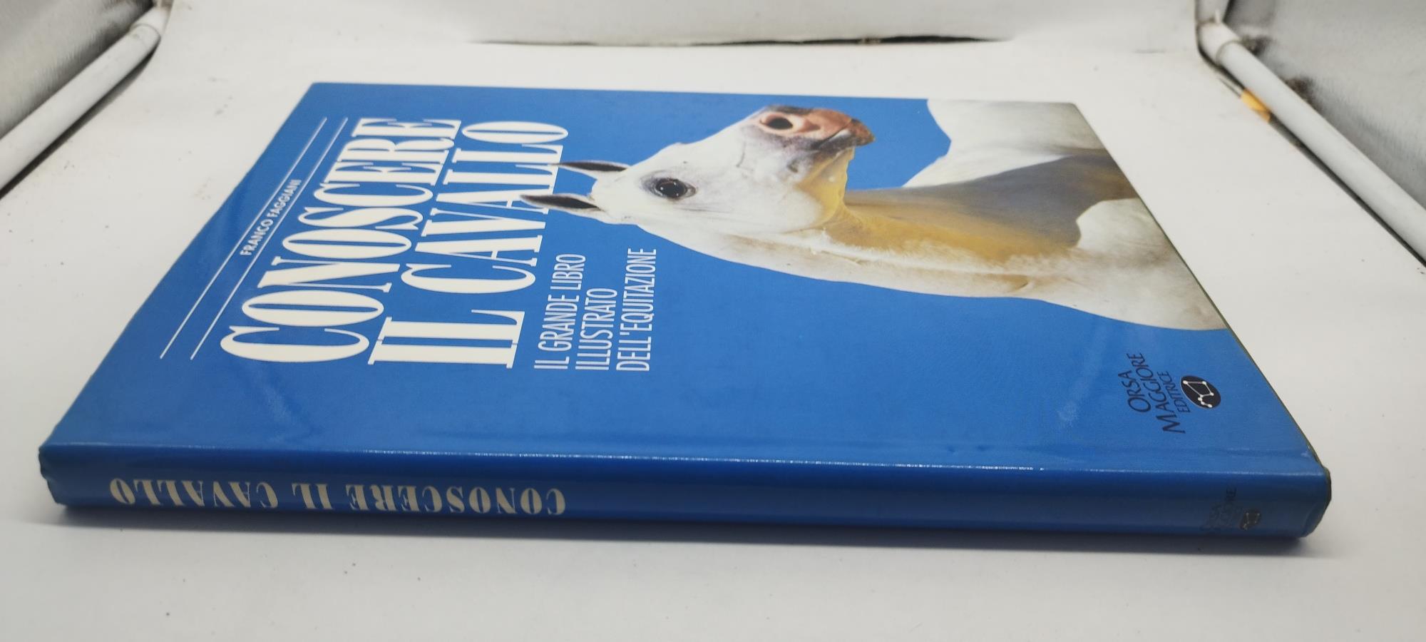 conoscere il cavallo il grande libro illustrato dell'equitazione