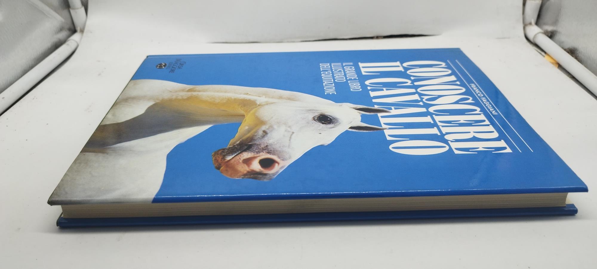 conoscere il cavallo il grande libro illustrato dell'equitazione