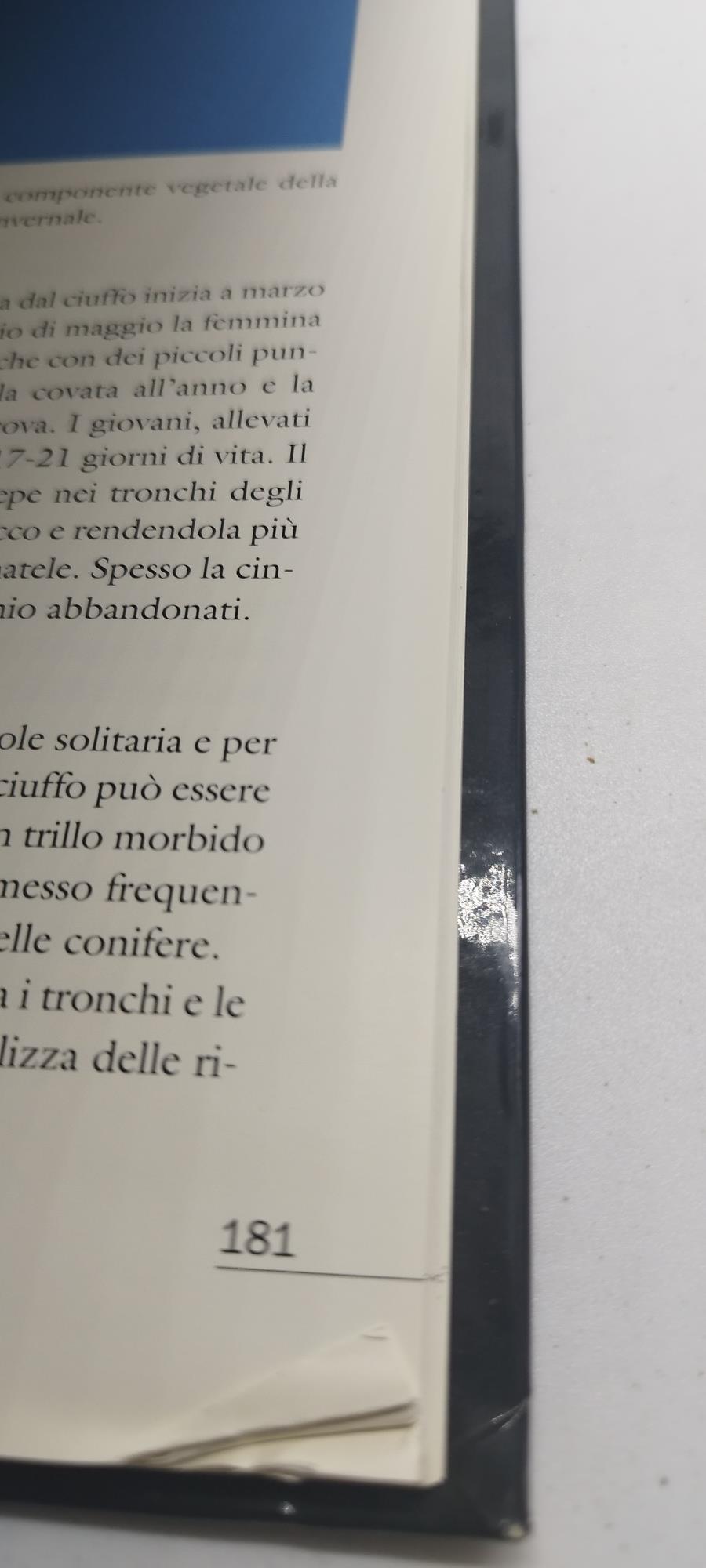 parco nazionale gran paradiso