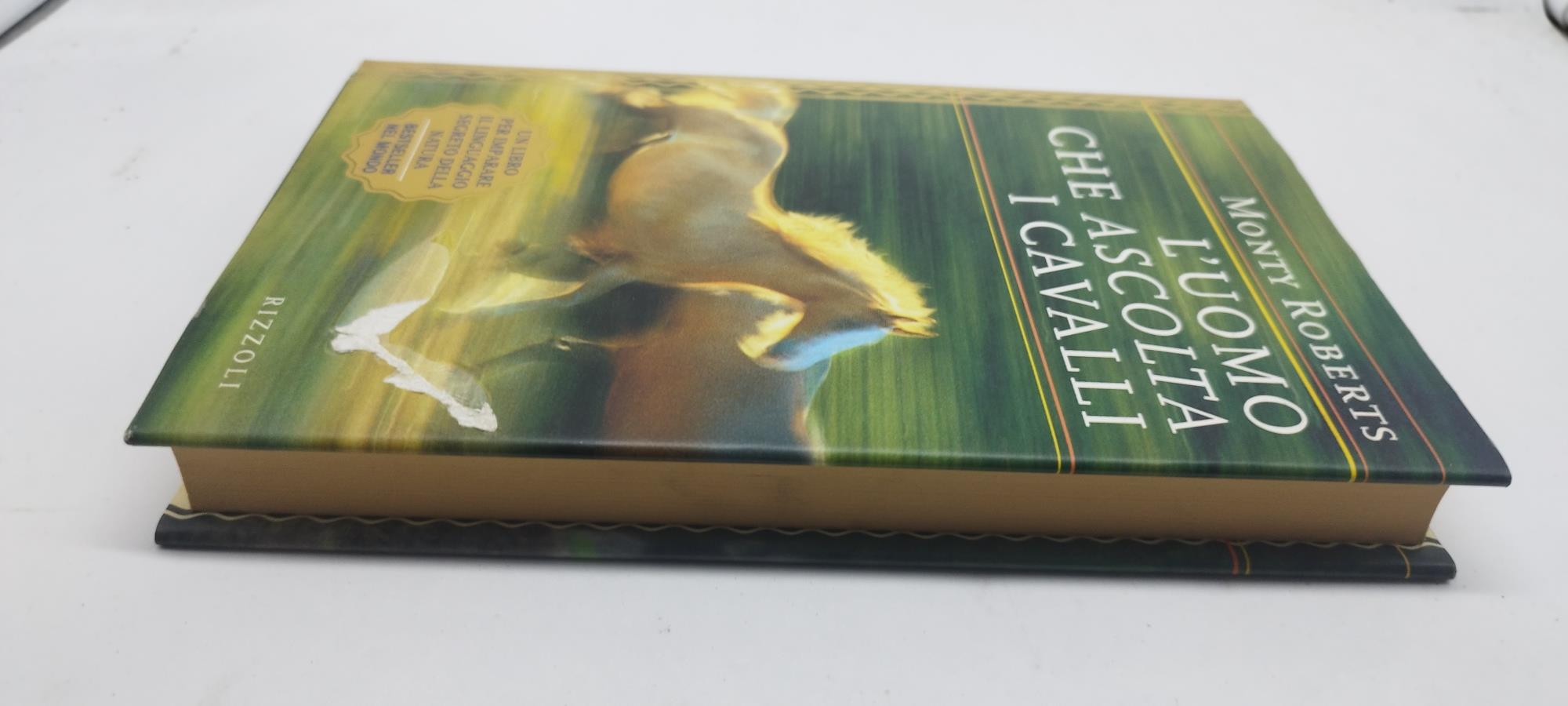 L' uoomo che ascolta i cavalli rizzoli