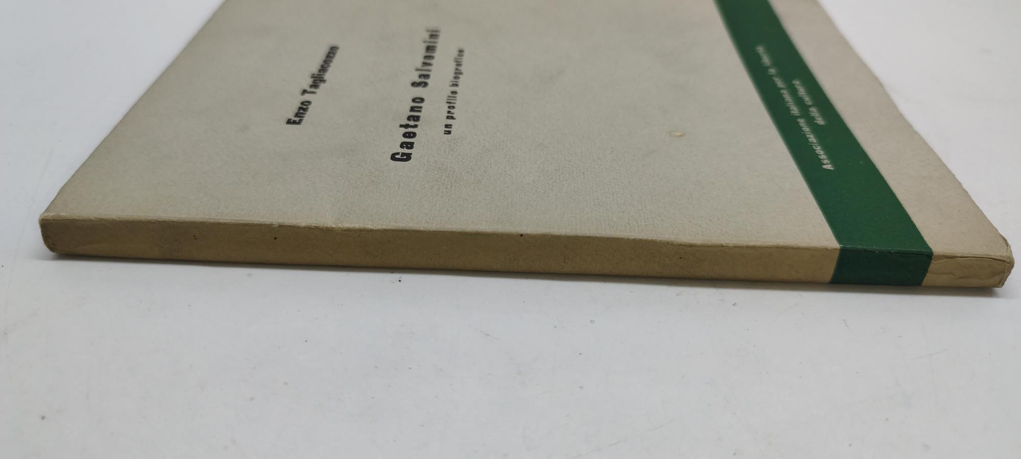 gaetano salvemini un profilo biografico