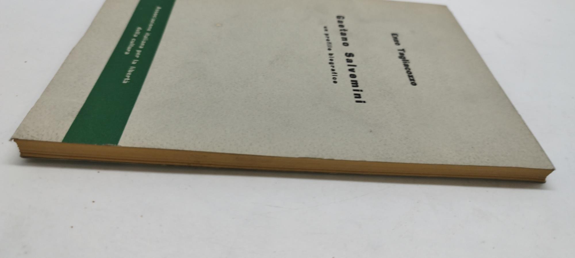 gaetano salvemini un profilo biografico