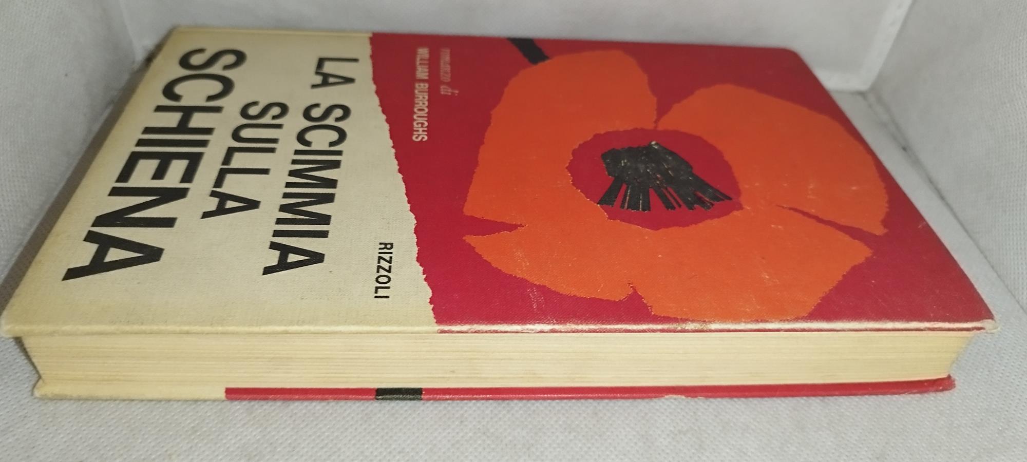 la scimmia sulla schiena