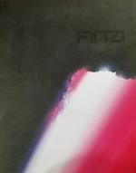 Finzi. Dal Nero Al Non Colore. Opere 1950-2010