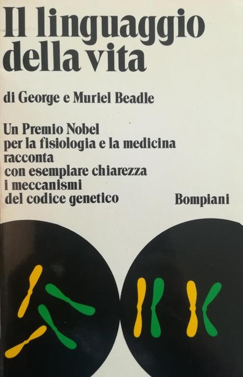 Libreria Minerva