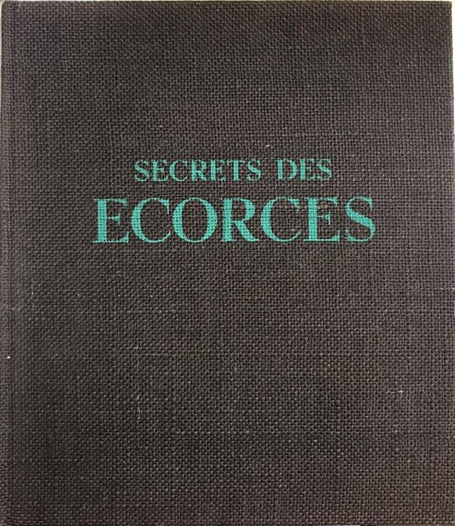 Libreria Minerva