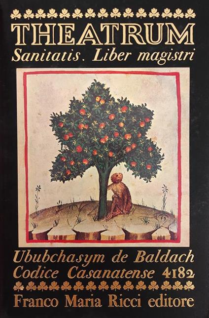 Theatrum Sanitatis. Liber Magistri - copertina