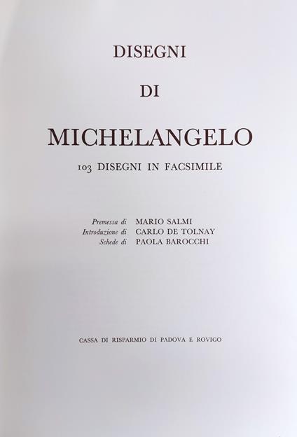 Disegni Di Michelangelo - copertina