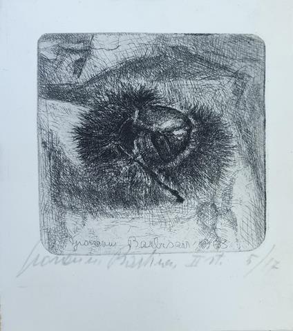 Castagna - copertina