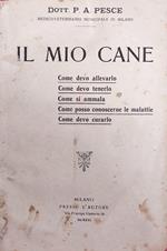 Mio Cane