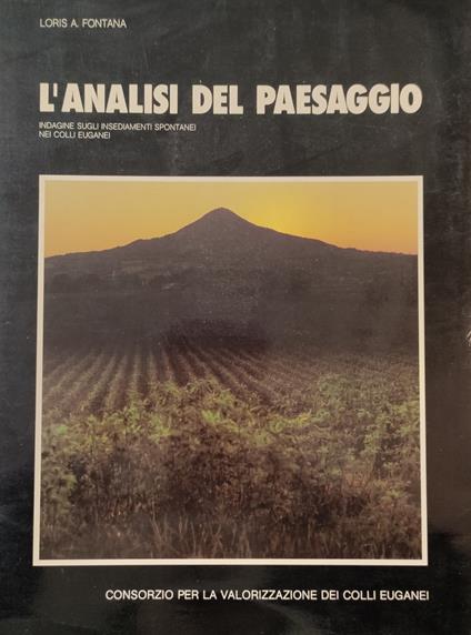 L' Analisi Del Paesaggio. Indagine Sugli Insediamenti Spontanei - copertina