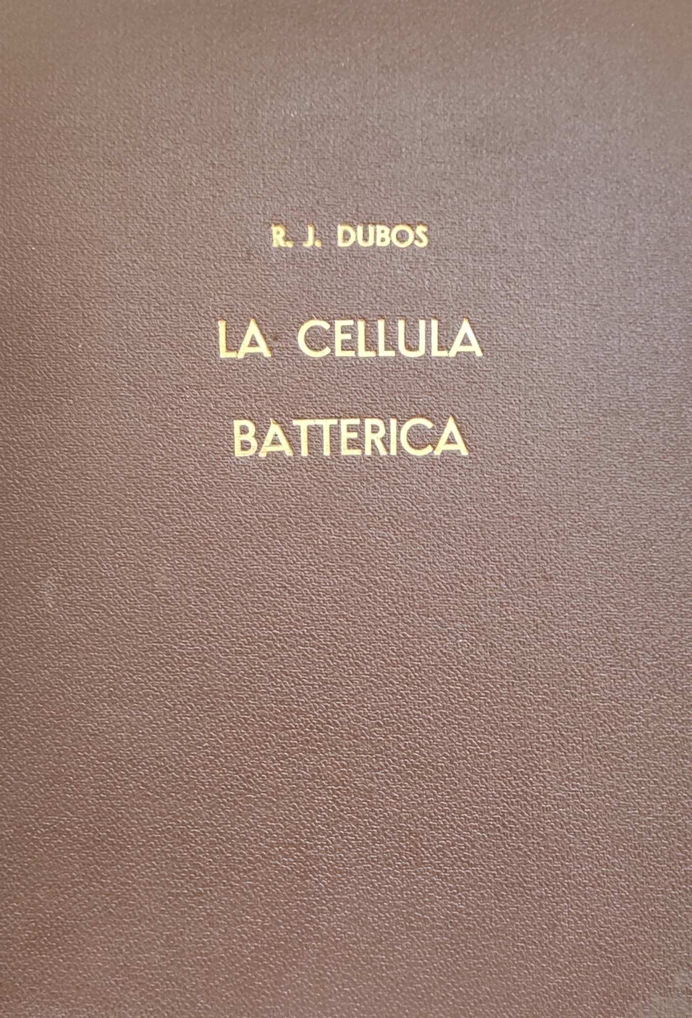 Libreria Minerva