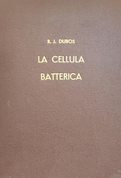 La Cellula Batterica - copertina