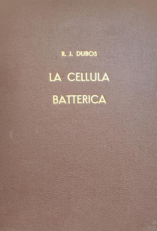 La Cellula Batterica - copertina