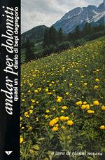 Andar Per Dolomiti. Quasi Un Diario Di Bepi Degregorio