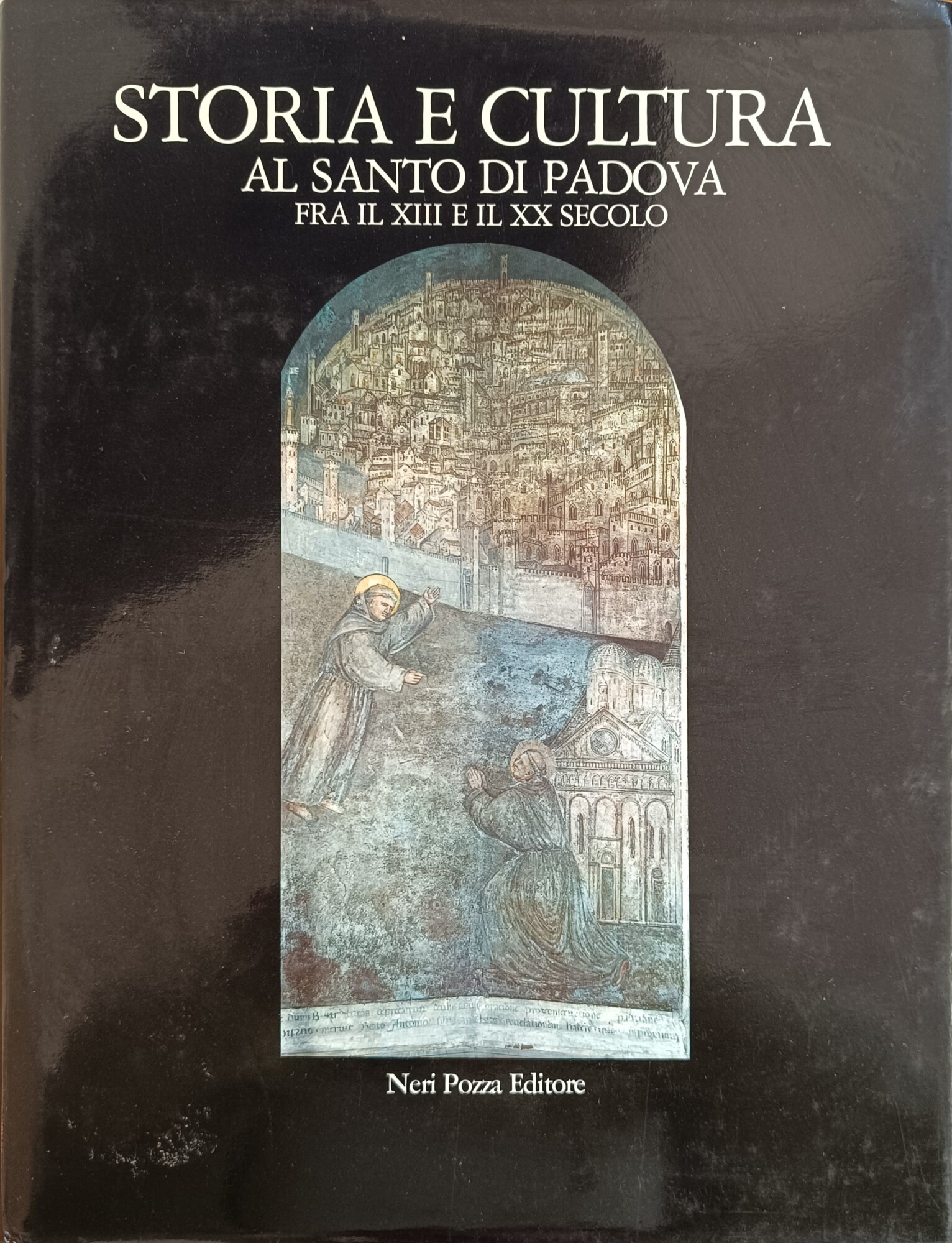Libreria Minerva
