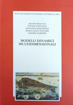 Modelli Dinamici Multidimensionali