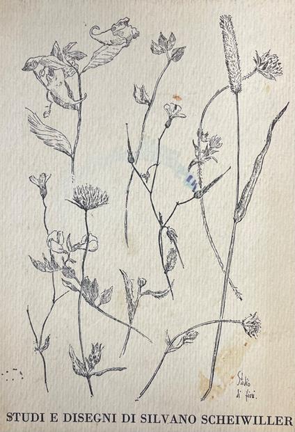 Studi E Disegni - Silvano Scheiwiller - copertina