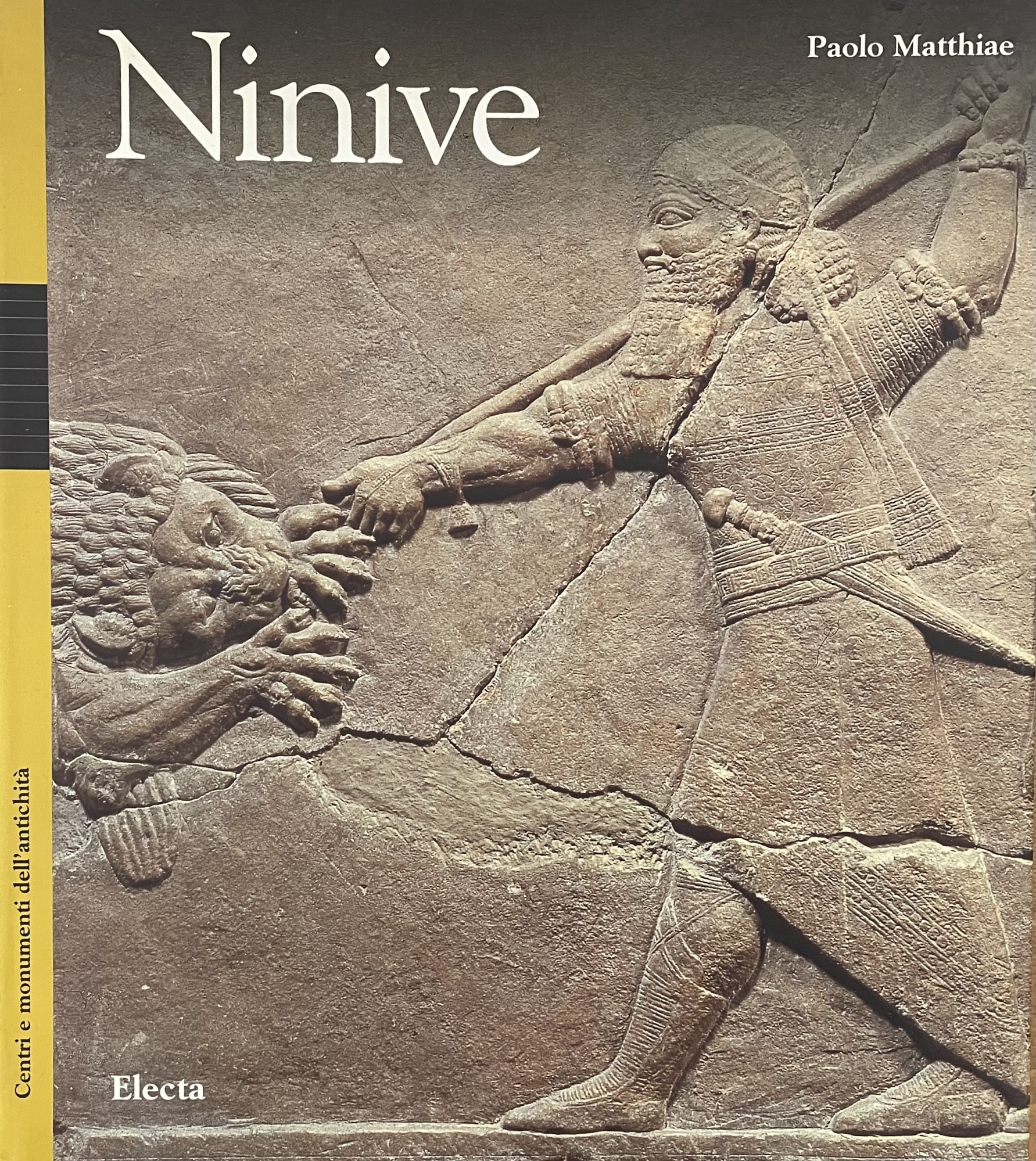 Libreria Minerva