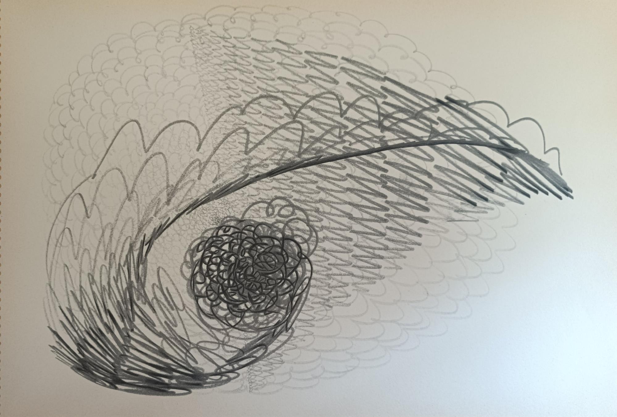 Tancredi. "Sedici Studi"