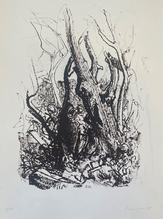 Senza Titolo - Pietro Annigoni - copertina