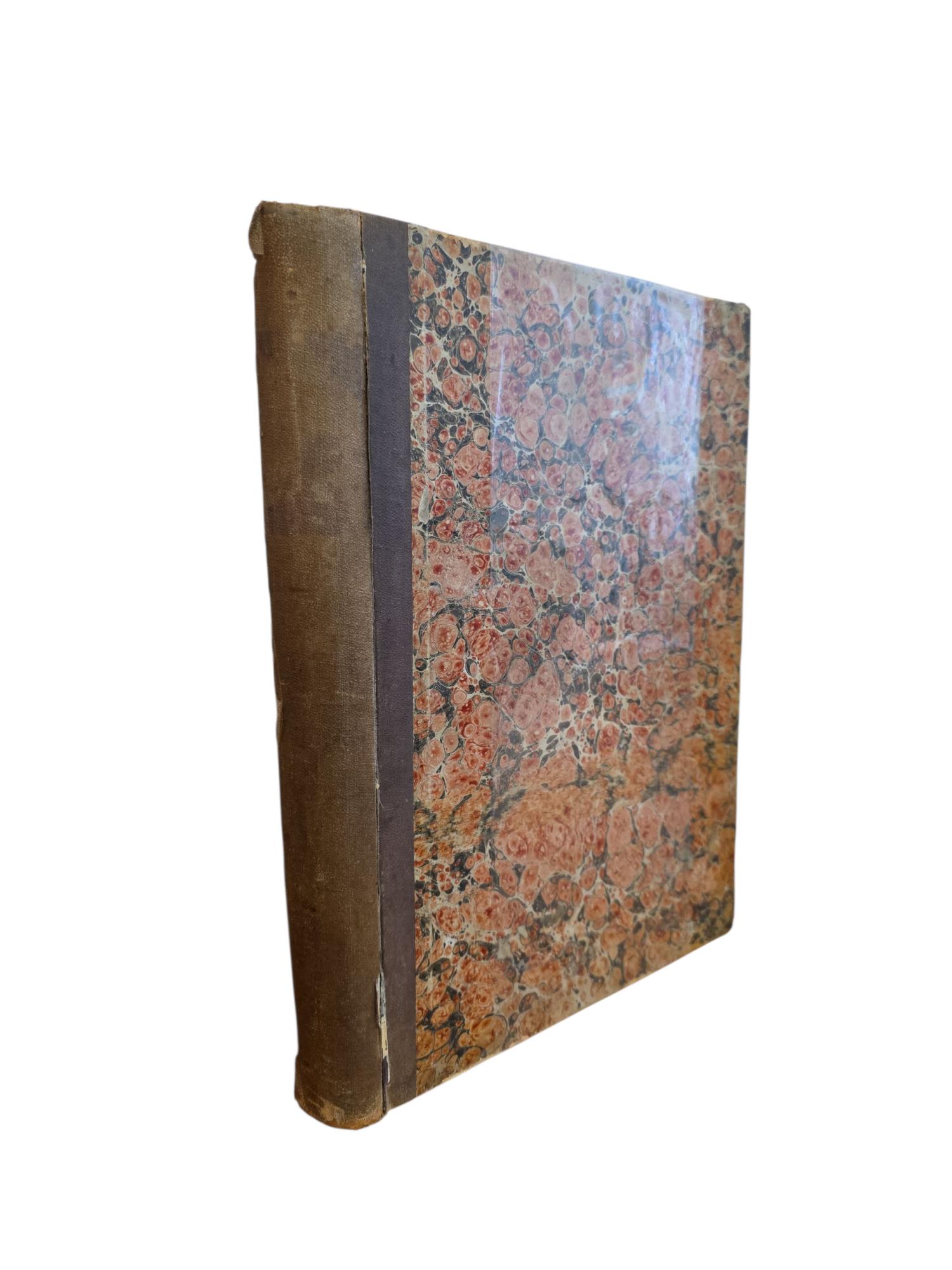 Il Pasquino. Rivista Umoristica Illustrata Della Settimana