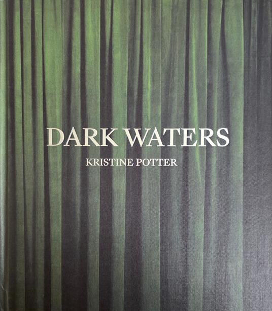 Dark Waters. Kristine Potter - copertina