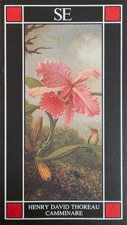 Camminare - Henry David Thoreau - copertina