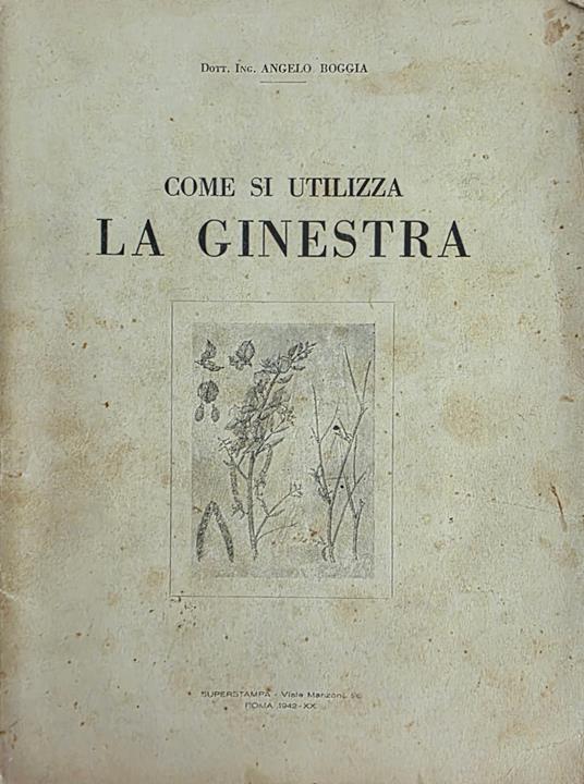 Come Si Utilizza La Ginestra - Angelo Boggia - copertina