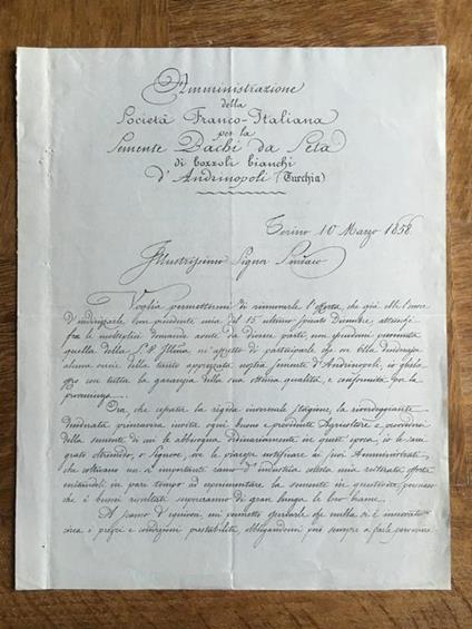 Lettera Commerciale Semente Bachi da Seta Torino 1858 - E21934 - copertina