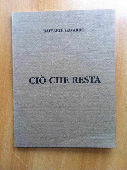 Ciò che resta Appunti sullo stato della pittura Raffaele Gavarro 1993 - E19457 - copertina