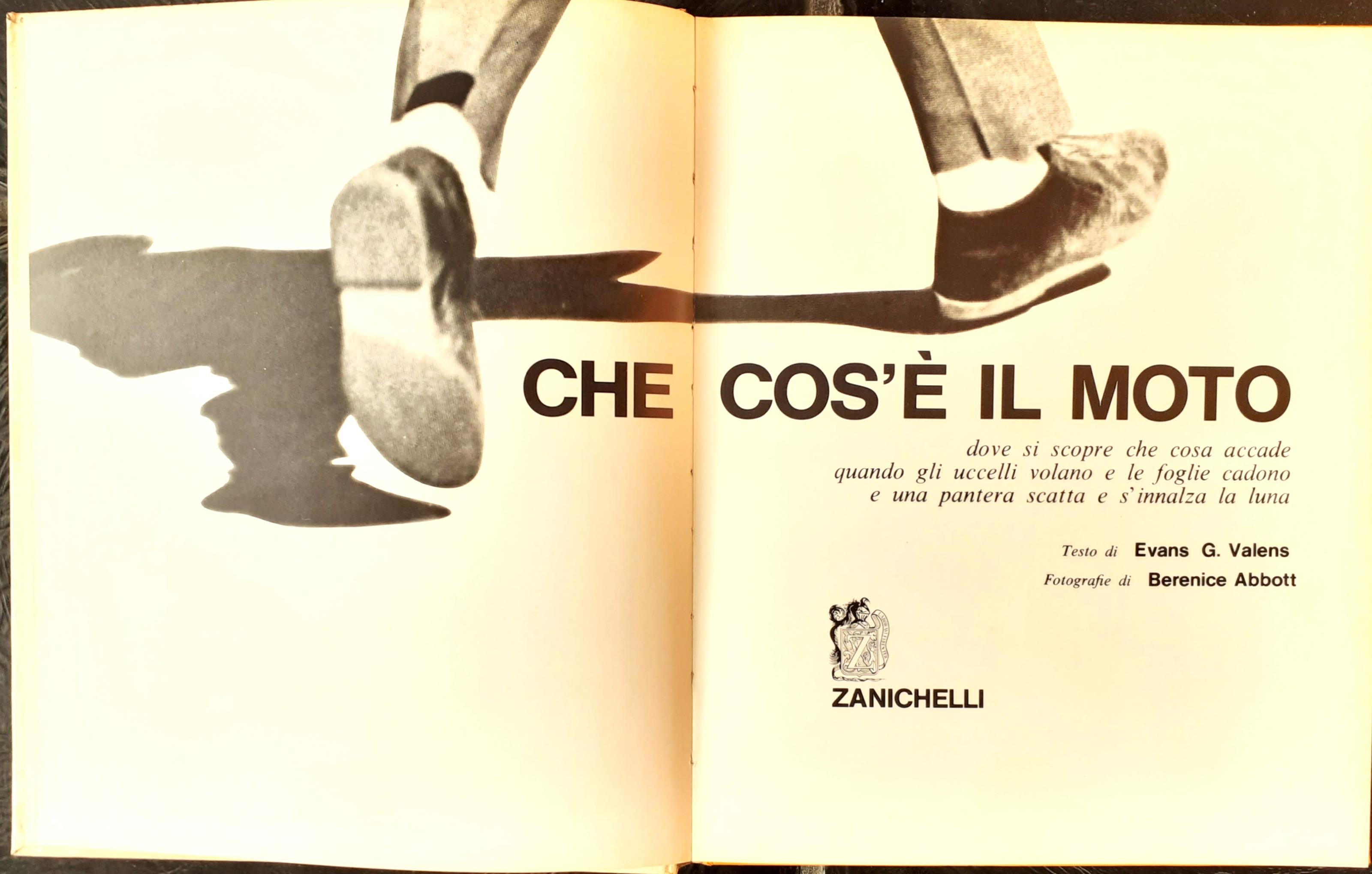 Che cos'è il moto. Dove si scopre che cosa accade quando gli uccelli volano e le foglie cadono e una pantera scatta e s'innalza la luna