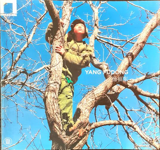 Yang Fudong - copertina