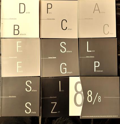 8/8. 8 Artisti, 8 Critici, 8 Stanze. Davide Bertocchi, Piero Cattani, Andrea Chiesi, Flavio Favelli, Stefania Galegati, Luca Piovaccari, Stefano Scheda, Italo Zuffi - copertina